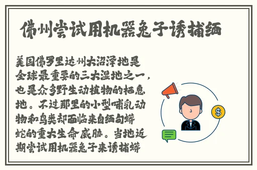 三 港版普通话版有哪些